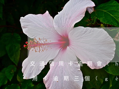 交通信用卡逾期會(huì)起訴嗎(交通信用卡逾期三個(gè)月后被法院起訴怎么辦)