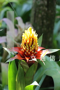交通信用卡逾期會不會被封卡
