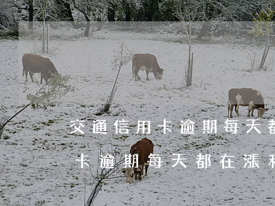 交通信用卡逾期每天都在漲利息-交通信用卡逾期每天都在漲利息嗎