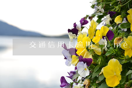 交通信用卡逾期沒(méi)提示
