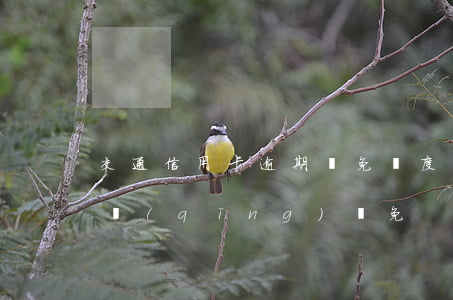 交通信用卡逾期減免額度(信用卡逾期怎樣申請(qǐng)減免)