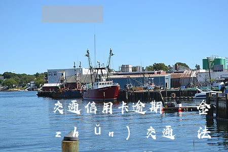 交通信用卡逾期滯納金標(biāo)準(zhǔn)(交通違法滯納金條款)