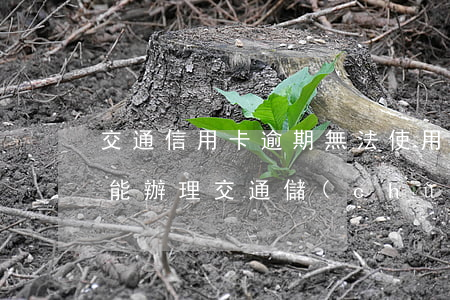 交通信用卡逾期無法使用(交通信用卡逾期還能辦理交通儲(chǔ)蓄卡嗎)