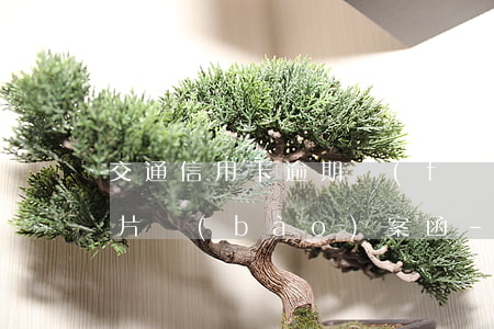 交通信用卡逾期發(fā)來(lái)照片報(bào)案函-交通信用卡逾期發(fā)來(lái)照片報(bào)案函怎么辦