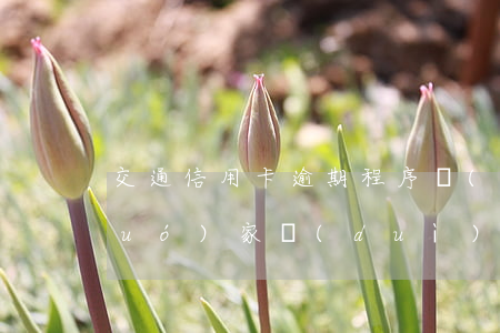 交通信用卡逾期程序規(guī)定 國(guó)家對(duì)信用卡逾期最新規(guī)定