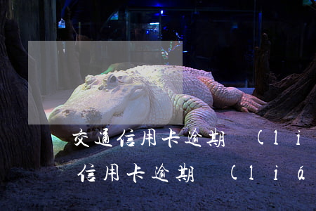 交通信用卡逾期聯(lián)系家屬(交通信用卡逾期聯(lián)系家屬有用嗎)