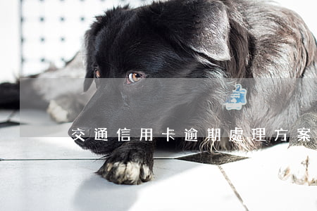 交通信用卡逾期處理方案(信用卡逾期怎么辦)