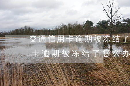 交通信用卡逾期被冻结了怎么办-交通信用卡逾期被冻结了怎么办理