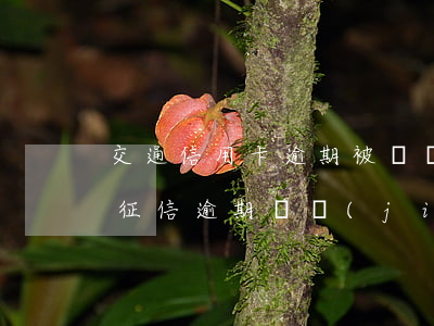 交通信用卡逾期被凍結(jié)建議銷卡(征信逾期凍結(jié)信用卡)
