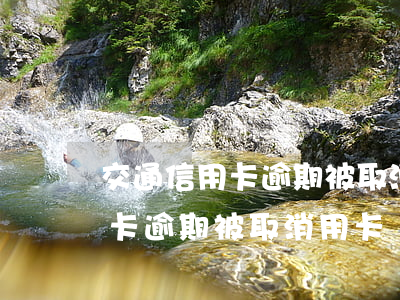 交通信用卡逾期被取消用卡資格-交通信用卡逾期被取消用卡資格,全額還款后還能用嗎