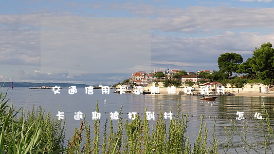 交通信用卡逾期被打到村長電話-交通信用卡逾期被打到村長電話怎么辦