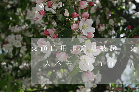 交通信用卡逾期被起訴(交通信用卡逾期被起訴人不去會(huì)怎么樣)