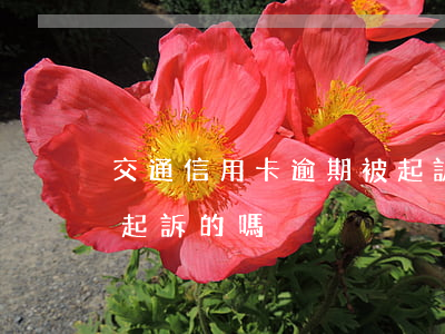交通信用卡逾期被起訴的嗎(有信用卡逾期被起訴的嗎)