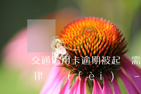 交通信用卡逾期被起訴需要承擔(dān)律師費(fèi)嗎-欠交通銀行信用卡一萬多現(xiàn)在被起訴了