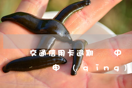 交通信用卡逾期記錄中國(guó)(有逾期記錄申請(qǐng)哪個(gè)信用卡)