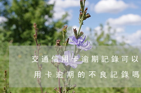 交通信用卡逾期記錄可以消除嗎-能消除信用卡逾期的不良記錄嗎
