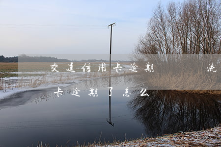 交通信用卡逾期說準備流程(交通銀行的信用卡逾期了怎么辦)