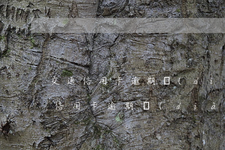 交通信用卡逾期調(diào)解專員(交通信用卡逾期調(diào)解專員)