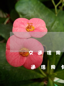 交通信用卡逾期貸款怎么協(xié)商（交通信用卡逾期貸款）