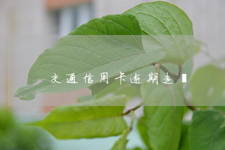 交通信用卡逾期走訪