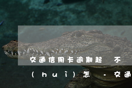 交通信用卡逾期起訴不應(yīng)訴會(huì)怎樣-交通信用卡逾期起訴不應(yīng)訴會(huì)怎樣處理