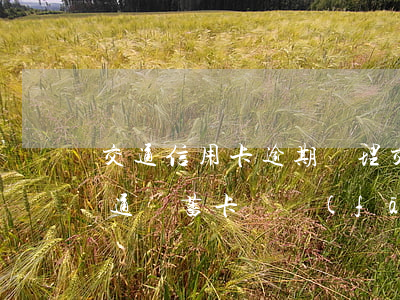 交通信用卡逾期辦理(交通信用卡逾期辦理交通儲蓄卡會發(fā)現(xiàn)嗎)