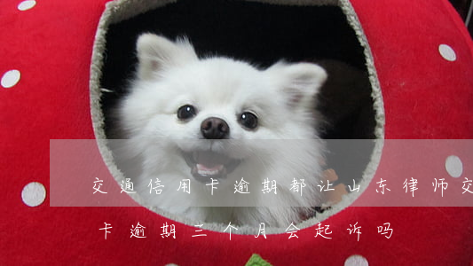 交通信用卡逾期都让山东律师(交通银行信用卡逾期三个月会起诉吗)