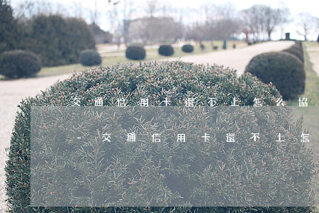 交通信用卡還不上怎么協(xié)商分期-交通信用卡還不上怎么協(xié)商分期還款