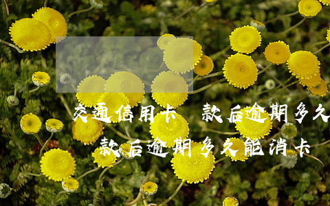 交通信用卡還款后逾期多久能消(交通信用卡還款后逾期多久能消卡)