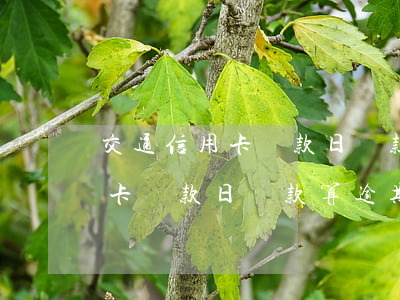 交通信用卡還款日還款算逾期嗎-交通信用卡還款日還款算逾期嗎怎么辦