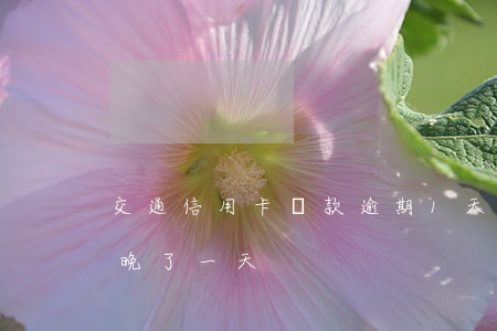 交通信用卡還款逾期1天(交通信用卡還款日晚了一天)