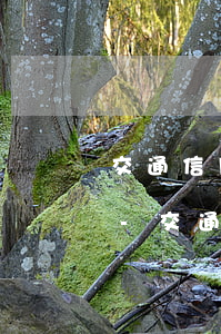 交通信用逾期微信給我發(fā)起訴通知-交通信用逾期微信給我發(fā)起訴通知怎么辦