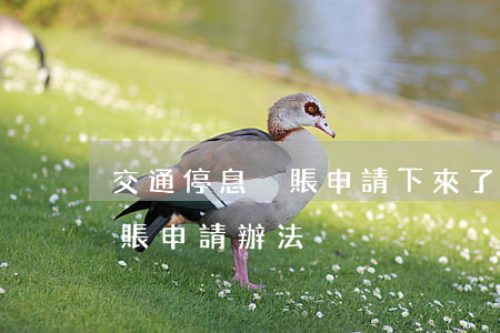 交通停息掛賬申請下來了(交通信用卡停息掛賬申請辦法)