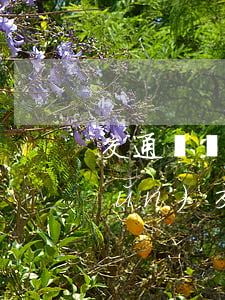 交通傷殘二級賠償標(biāo)準(zhǔn)(交通事故二級重傷賠償標(biāo)準(zhǔn))