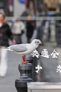 交通全責(zé)諒解費(fèi)一般多少錢(交通全責(zé)諒解費(fèi)一般多少錢)
