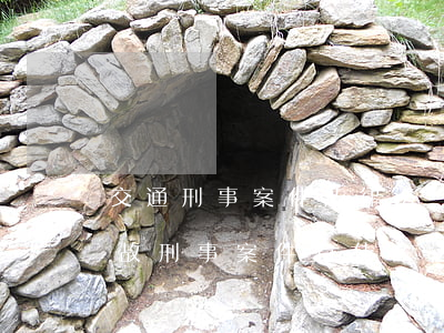 交通刑事案件法律法規(guī)(交通事故刑事案件有什么法律條款扣車)