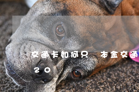 交通卡如何只還本金 交通卡錢用完了還能退20嗎