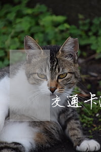 交通卡逾期3個月銀行起訴