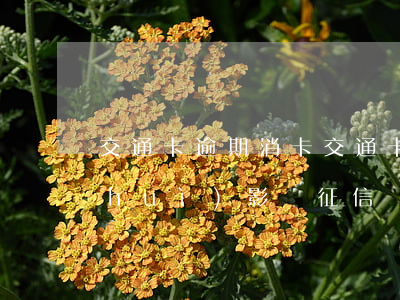 交通卡逾期消卡(交通卡欠費(fèi)會(huì)影響征信嗎)