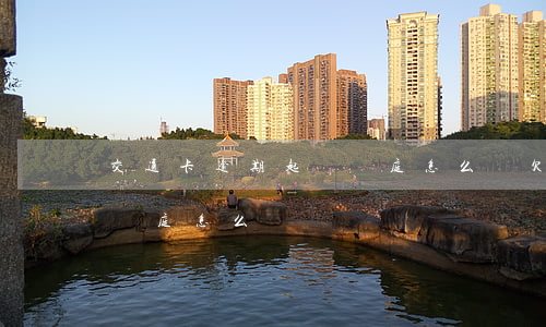 交通卡逾期起訴開庭怎么辦(欠信用卡被起訴開庭怎么辦)