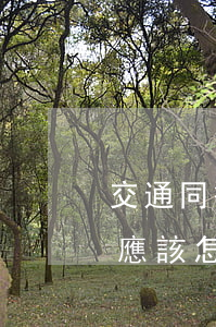 交通同等責任怎么賠償車撞人(撞車同等責任應該怎么處理)