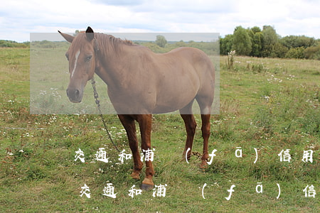 交通和浦發(fā)信用卡逾期費哪個高-交通和浦發(fā)信用卡逾期費哪個高些
