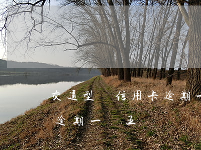 交通型鋼信用卡逾期一萬五(交通型鋼信用卡逾期一萬五)