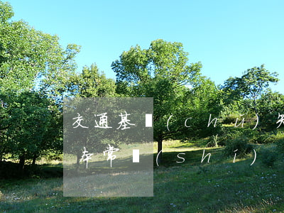 交通基礎(chǔ)知識(shí)(交通基本常識(shí))
