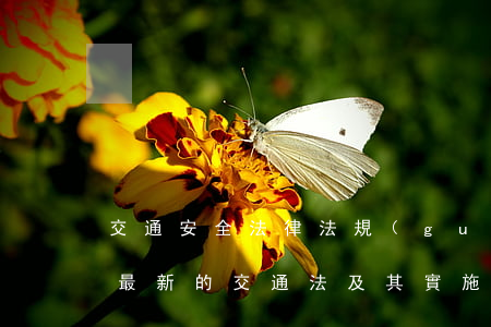 交通安全法律法規(guī)及條例(中國最新的交通法及其實施條例)