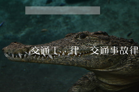 交通工傷律師(交通 事故 律師)