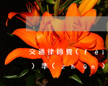 交通律師費(fèi)用收取標(biāo)準(zhǔn)2020(經(jīng)濟(jì)糾紛律師費(fèi)用收取標(biāo)準(zhǔn)2020)