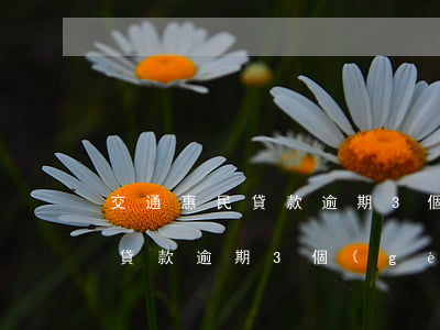 交通惠民貸款逾期3個(gè)月(交通惠民貸款逾期3個(gè)月)