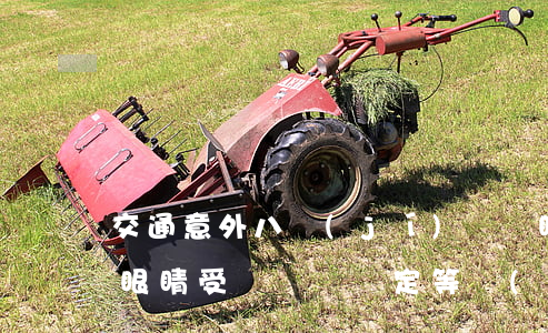 交通意外八級(jí)傷殘眼睛視力是多少(眼睛受傷傷殘鑒定等級(jí)七級(jí)能賠多少錢)