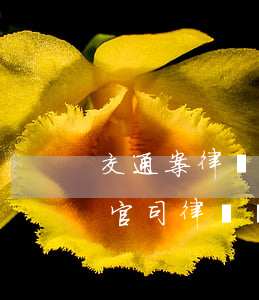 交通案律師費(fèi)一般要多少錢(交通官司律師費(fèi)用多少)
